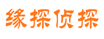 民和侦探